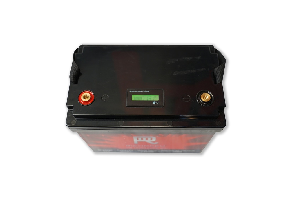 1.28KWh 12V 100Ah LiFePO4 Battery