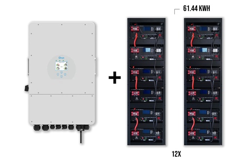 Package DEYE 12kw 3-phase Hybrid inverter + 12x Richaccu storage batteries 61.44KWH